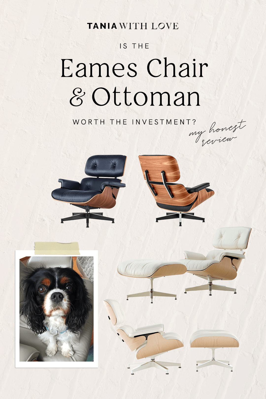 eames chair and ottoman in black and white